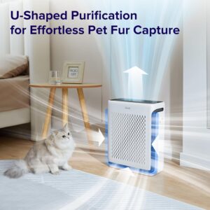 LEVOIT Air Purifiers for Large Room Home with Washable Filter and Air Quality Monitor, AHAM VERIFIDE, HEPA Sleep Mode and Auto Mode, Removes Pet Hairs, Allergies, Pollen, Smoke, Dust, Vital100S-P